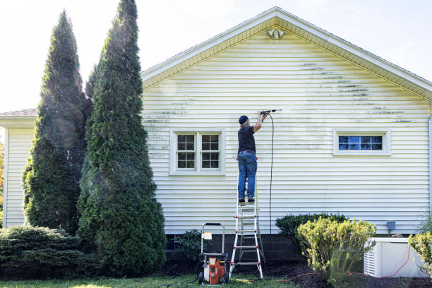 Best Fence Cleaning and Maintenance in Frankfort, KY
